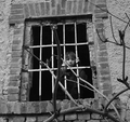 Jail 1