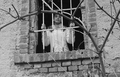 Jail 2