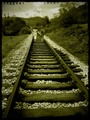 I Walk Alone.