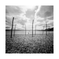 Pinhole day 20…