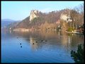 Bled