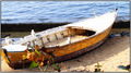 barkica