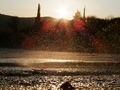like rain