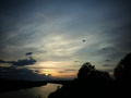 Flight of the &hellip;