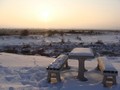 krbavsko polje