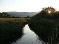 suton