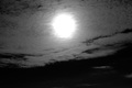 Black Hole Sun