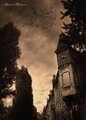 fallen city