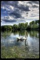labudje jezero&hellip;